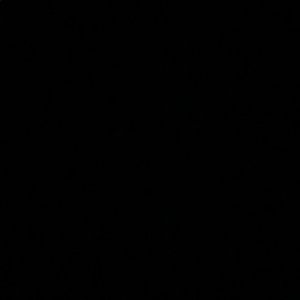 Meet your Posher, Annalyce